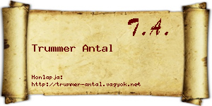 Trummer Antal névjegykártya
