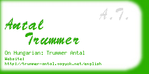 antal trummer business card